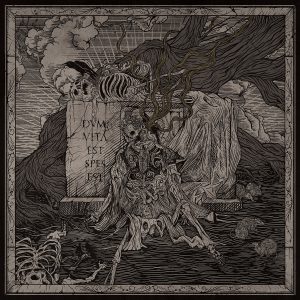 dragnim-cover
