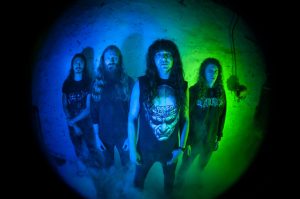 vektorband2